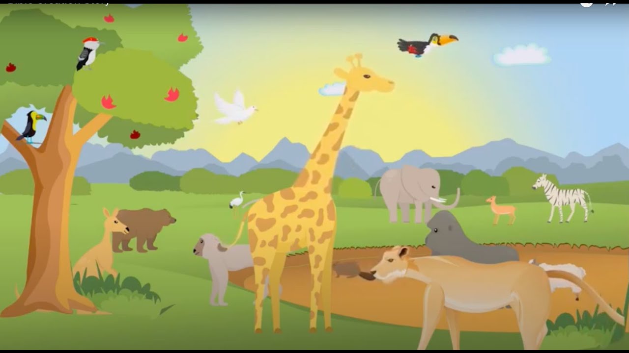 Bible Creation Story -- Bible Animation Stories