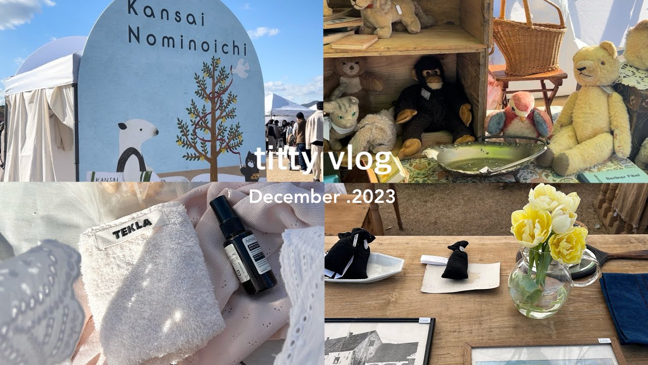 vlog:蚤の市でいろんな出会いを楽しむ🧸🧺/購入品/関西蚤の市