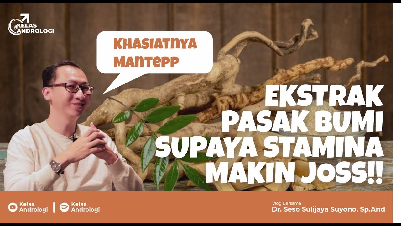 Ternyata tidak hanya untuk Pria, Wanita juga - Khasiat Pasak Bumi | Kelas Andrologi