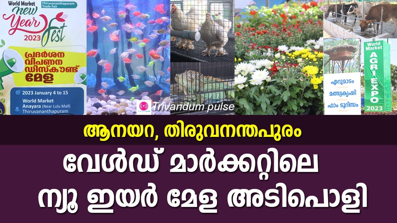 വേൾഡ് മാർക്കറ്റിലെ ന്യൂ ഇയർ മേള അടിപൊളി- world market thiruvananthapuram