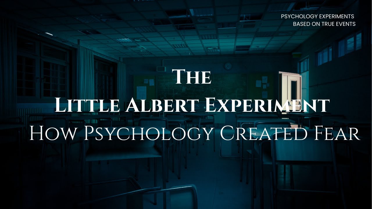 The Little Albert Experiment Explained How Fear Was Learned Psychology Experiments Based True Events
