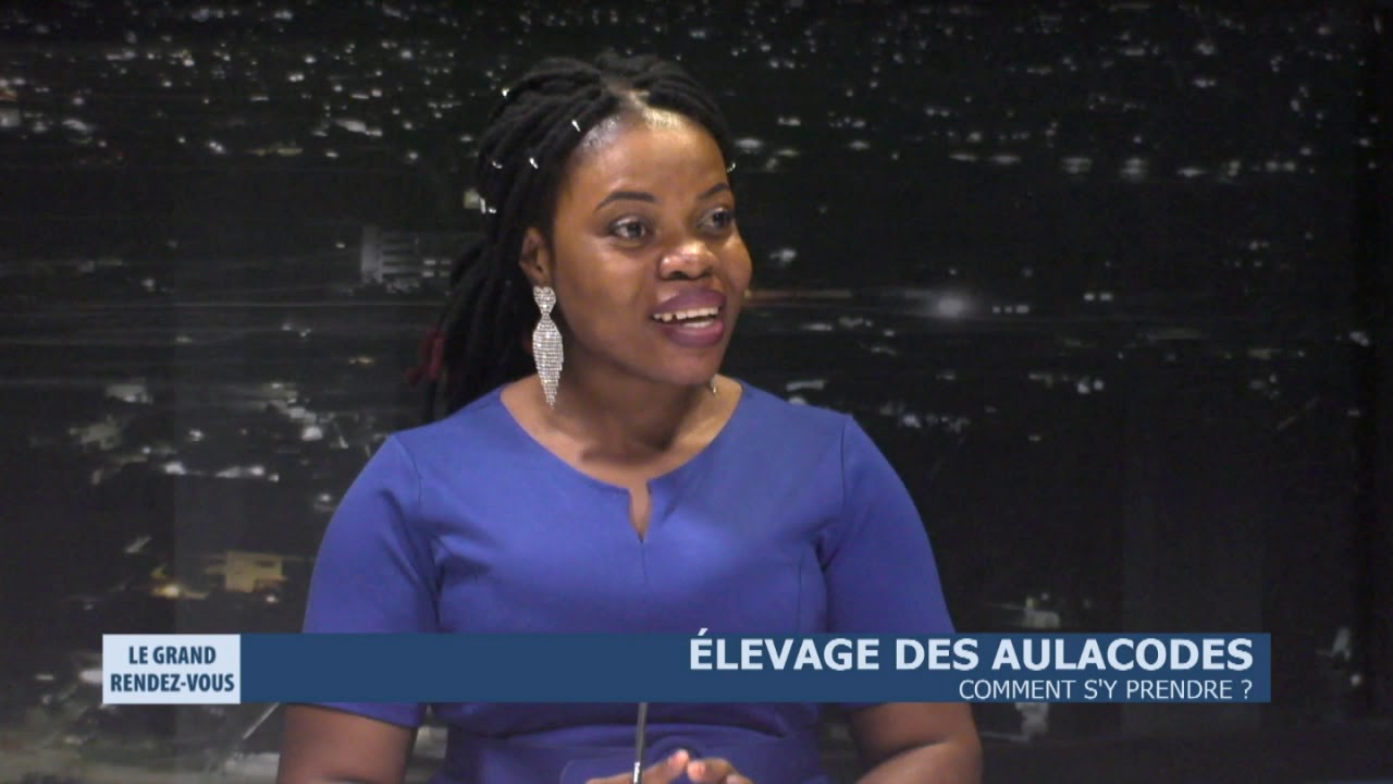 Elevage des aulacodes - Comment s'y prendre ?
