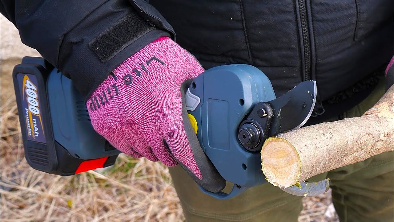 切断径50ｍｍ電動剪定鋏を使ってみたよ♪【Prunarbo電動剪定鋏】