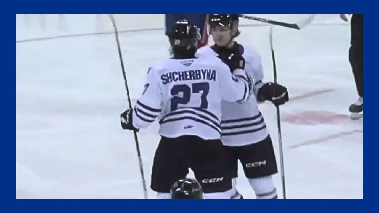 Luka Shcherbyna | WEN Wild | All (11) WHL Goals from 2023-24