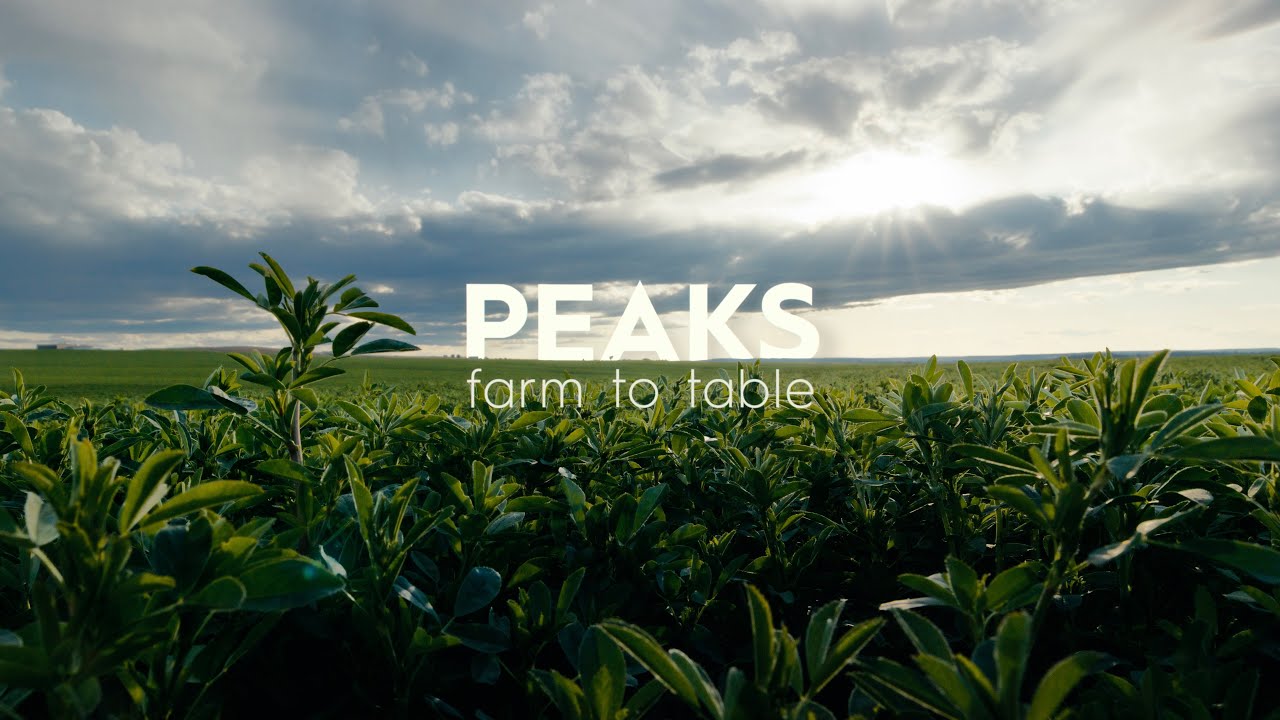 Peaks Chophouse: A Farm to Table Story​