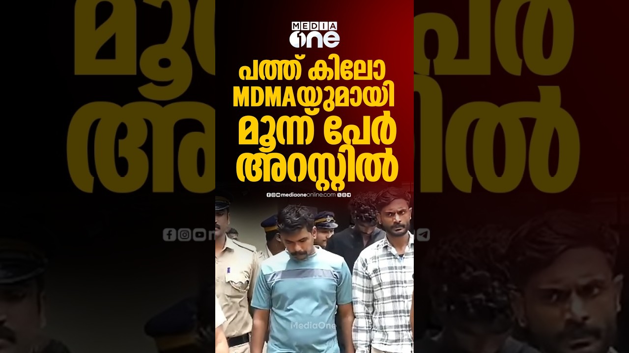 വൻ ലഹരിവേട്ട; മഞ്ചേരിയിൽ പത്ത് കിലോയിലധികം വരുന്ന എംഡിഎംഎ യുമായി മൂന്ന് പേർ അറസ്റ്റിൽ