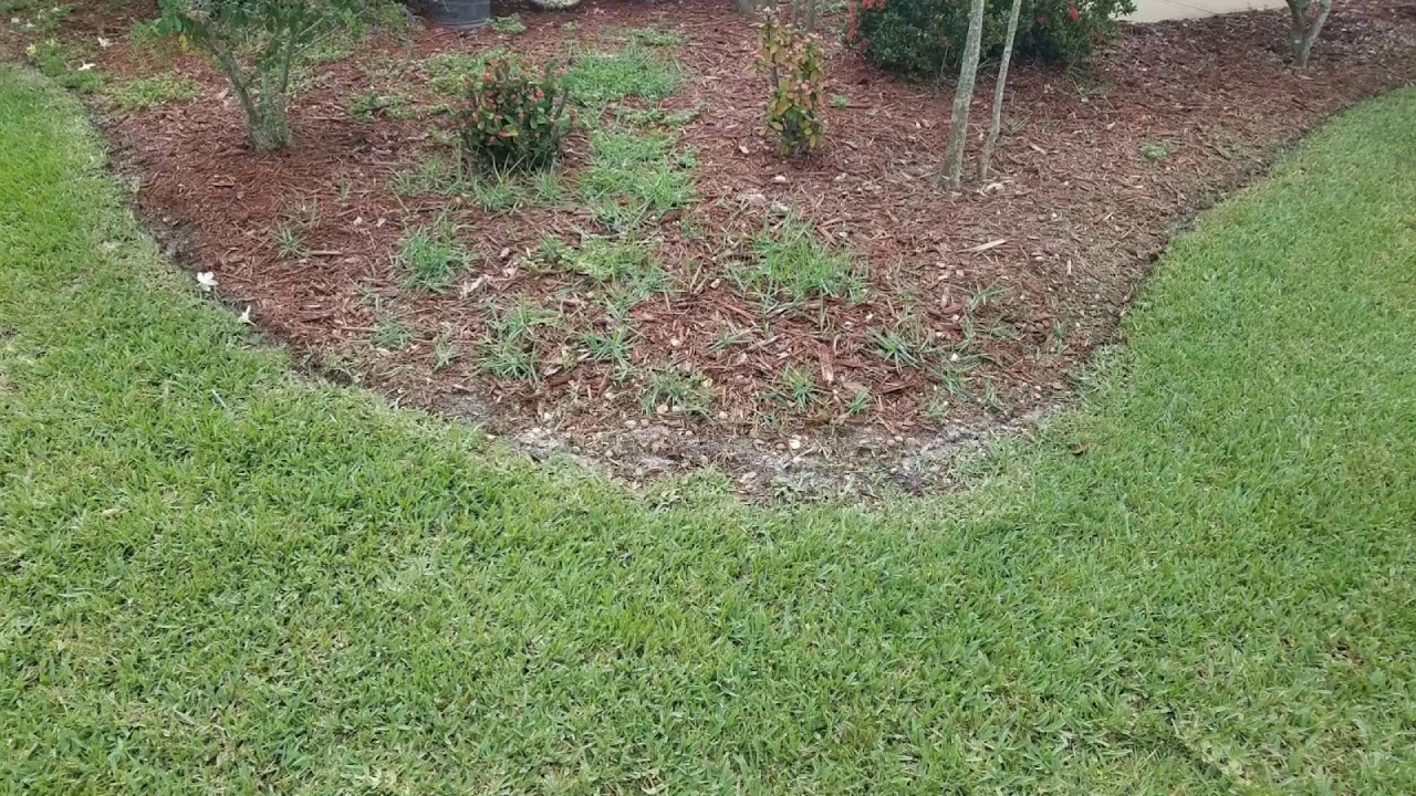 Mulch job part 1