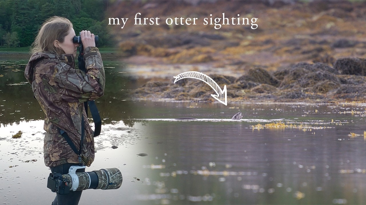 I know they are here, but can I photograph them?