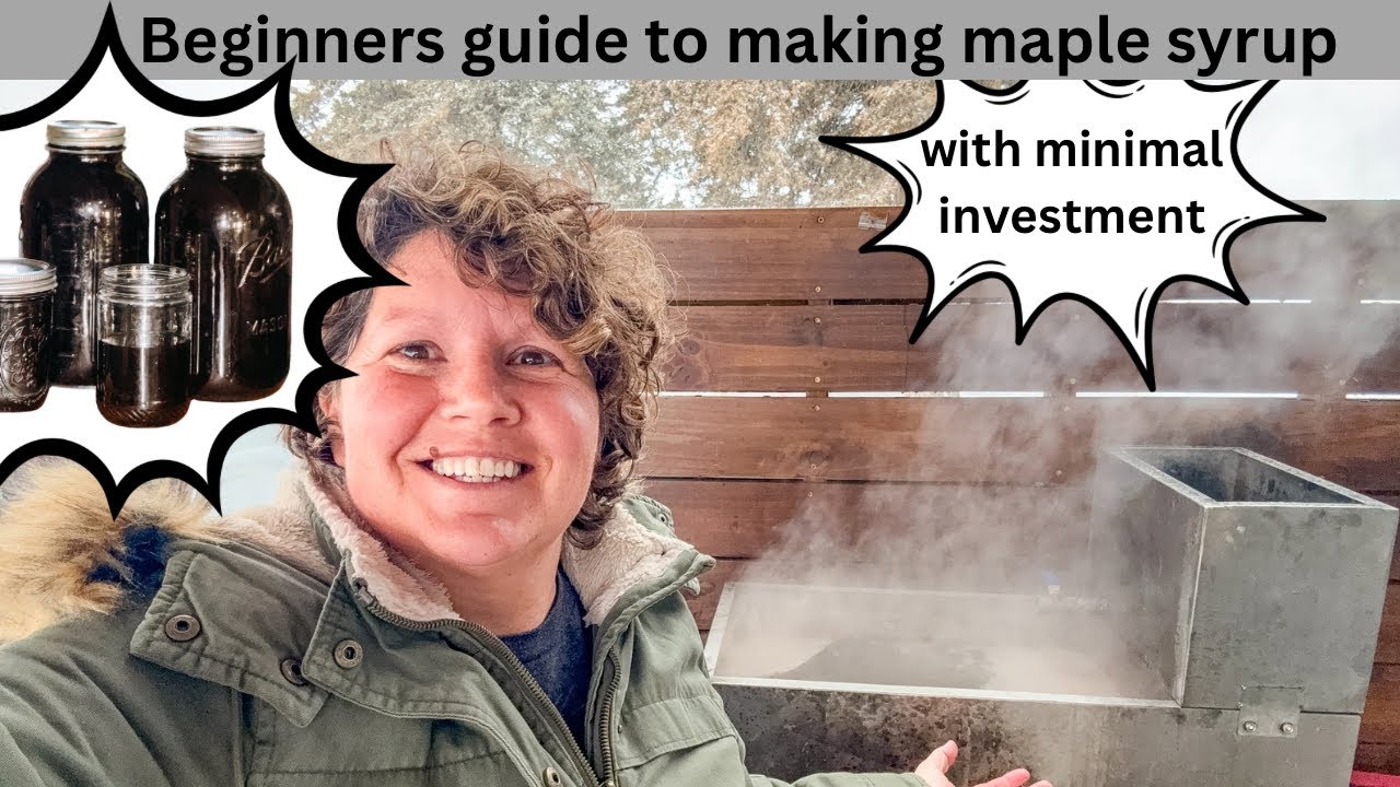 Beginners Guide to Making Maple syrup! YOU CAN DO IT