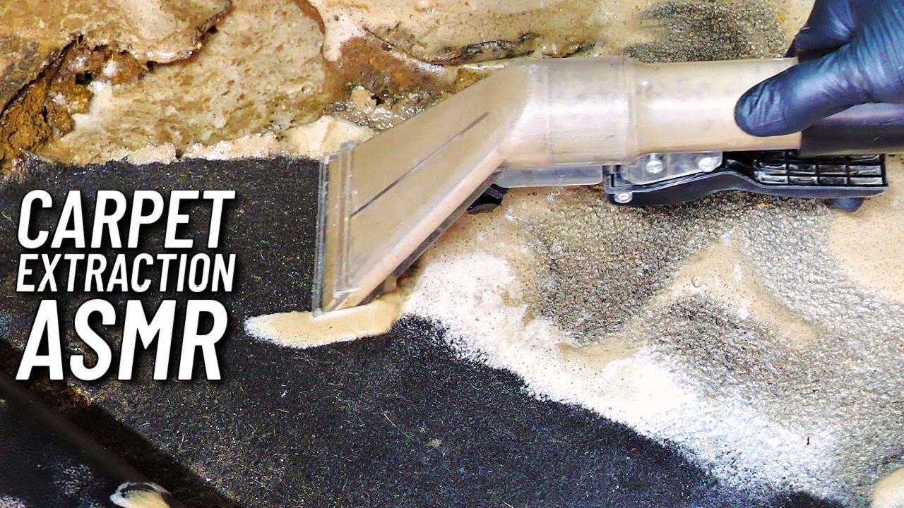 NASTY Carpet Extraction Real Time Car Detailing