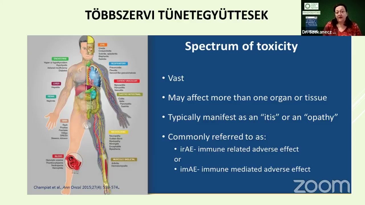 Az immunterápia hatásai és mellékhatásai - Dr. Szekanecz Éva előadása