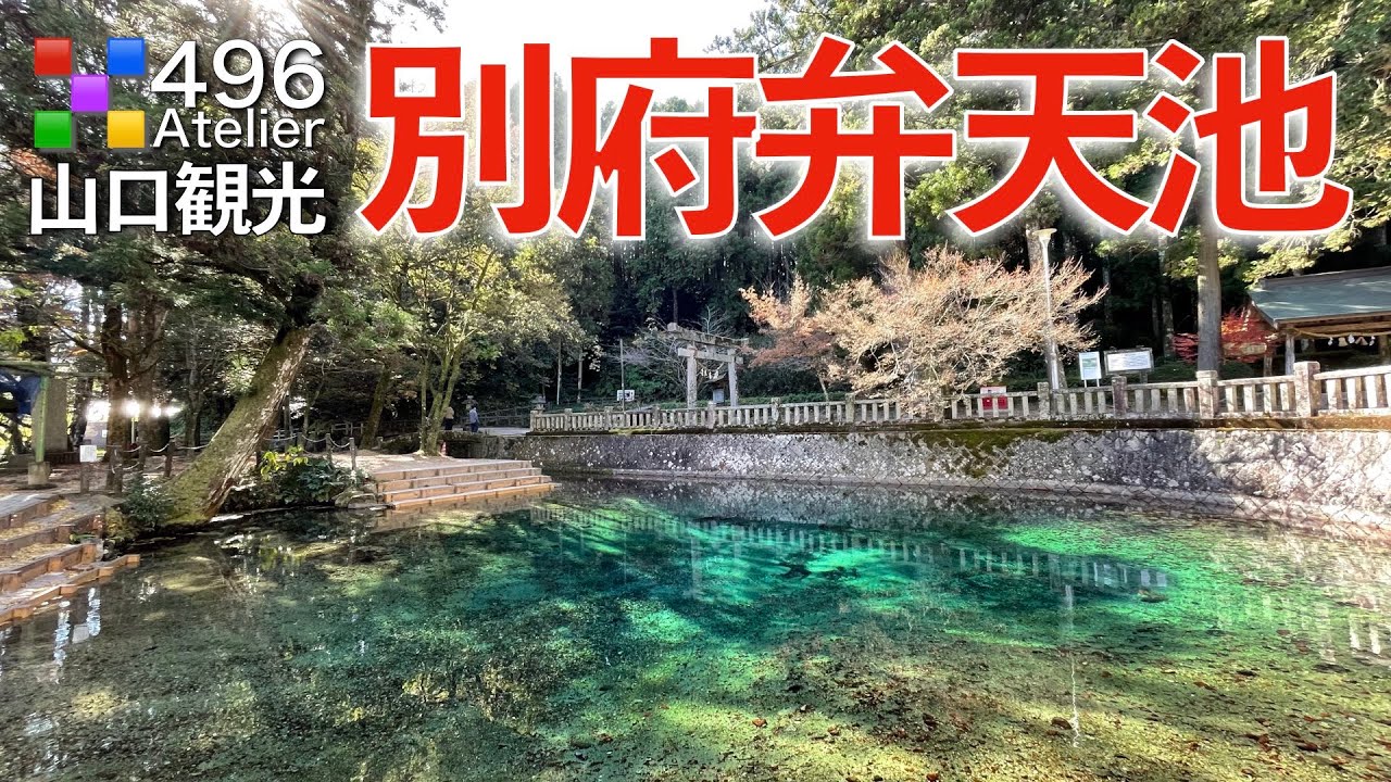 【山口観光】別府弁天池「秋吉台の湧水が美しすぎる」名水百選に選ばれた神秘のコバルトブルー