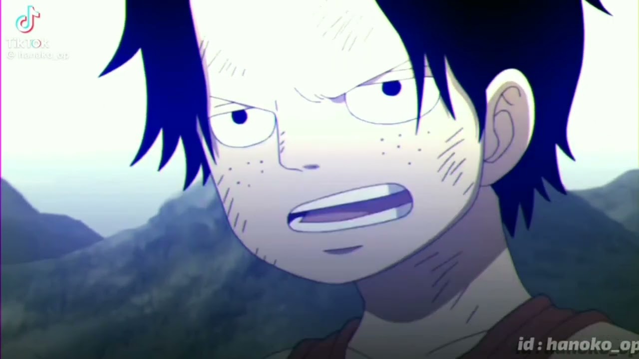 [ Tik Tok One Piece 🐍💐 ] Tổng hợp những video hay, tình cảm, vui,  buồn,... #12