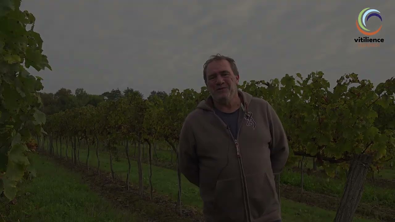 Découvrez le démonstrateur DECSO !