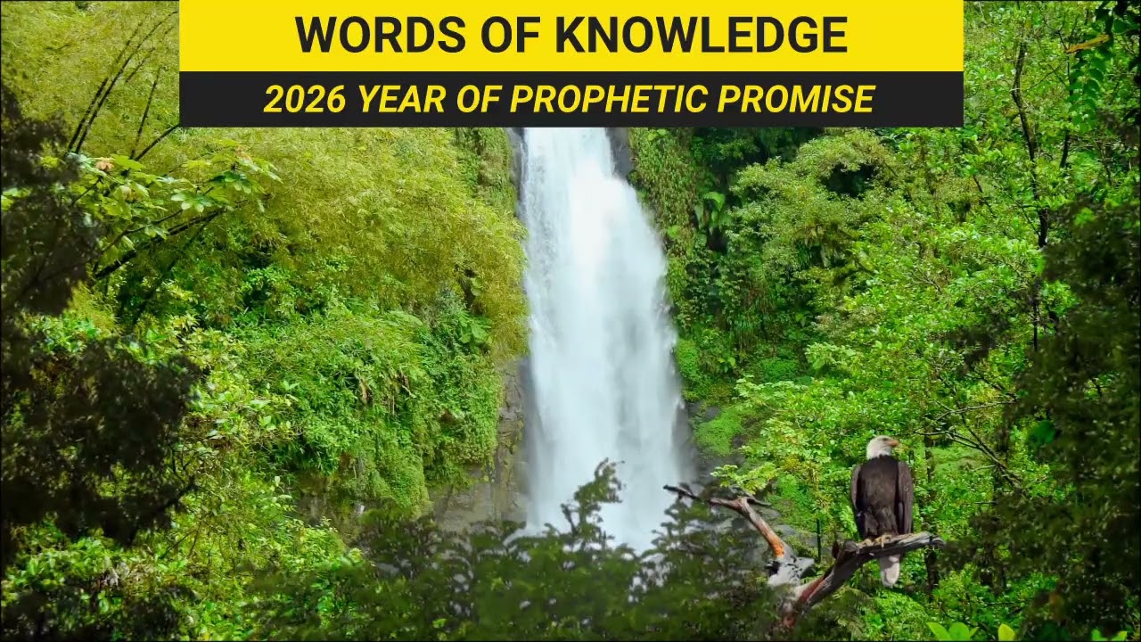 DAILY PROPHETIC UTTERANCE 