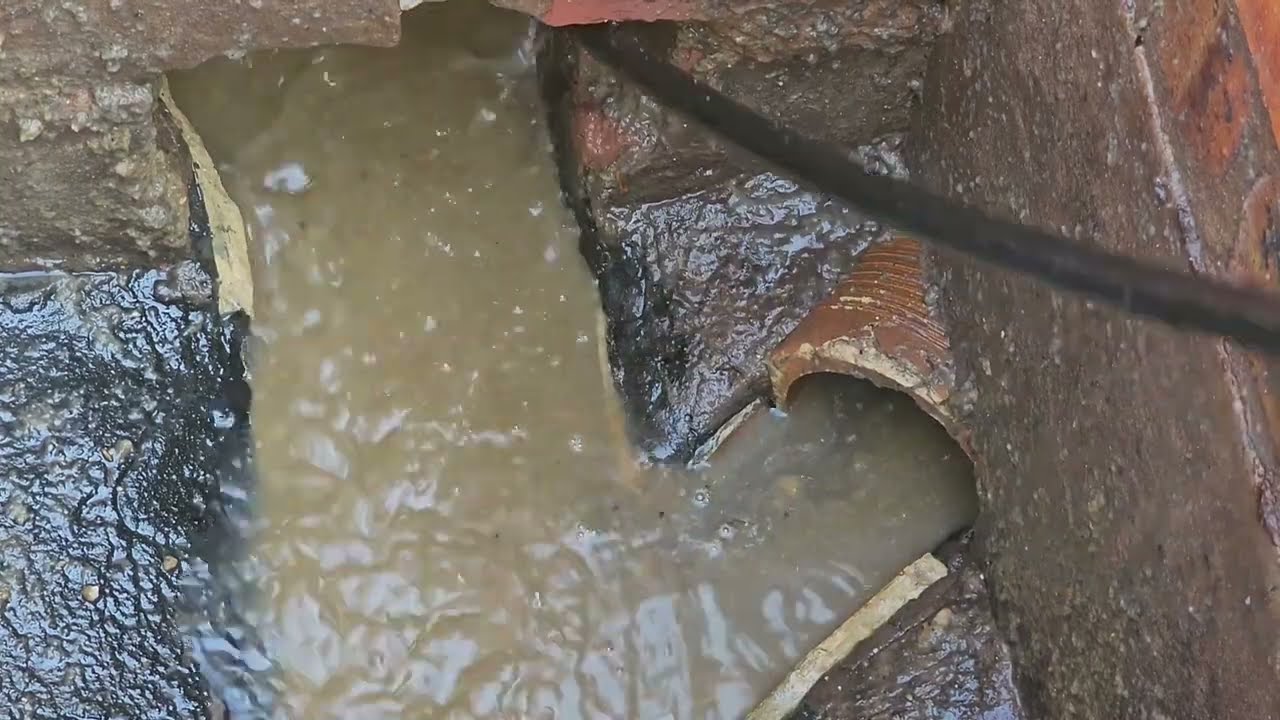 Blocked drain. You won't believe the size of this one. #blockeddrain  #sewage  #cloggeddrain