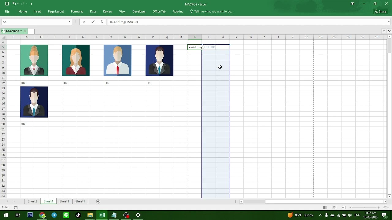 INSERT PICTURES  &  AUTO RESIZE WITH SELECTED CELLS (EXCEL VBA)
