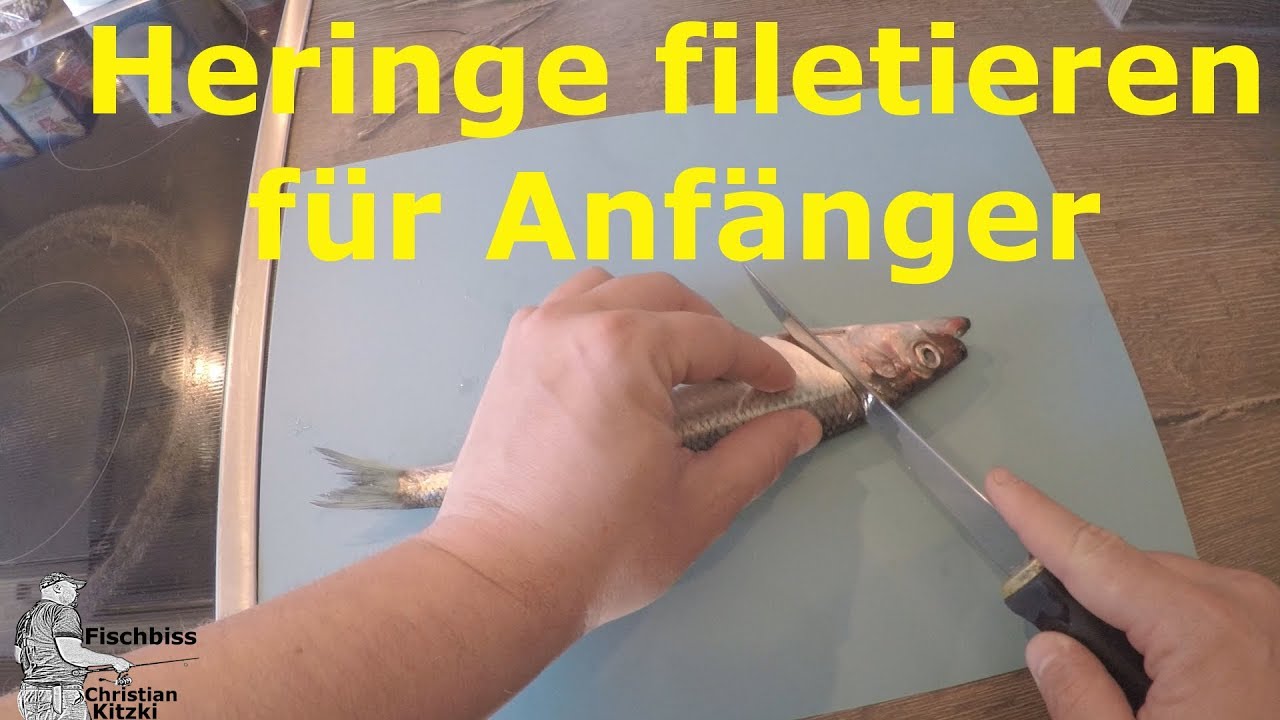 Heringe filetieren für Anfänger - wie werden Heringe filetiert ?
