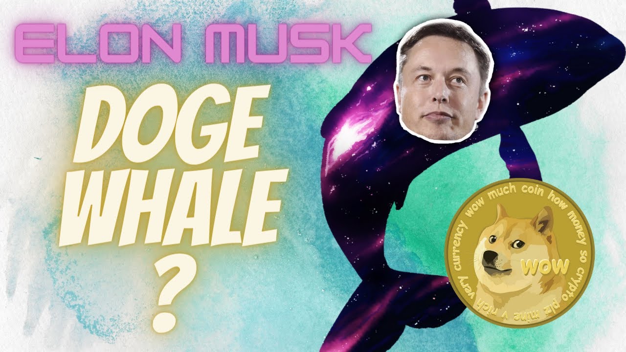 Elon Musk HODL Doge | Hints that he is the Dogecoin Whale?