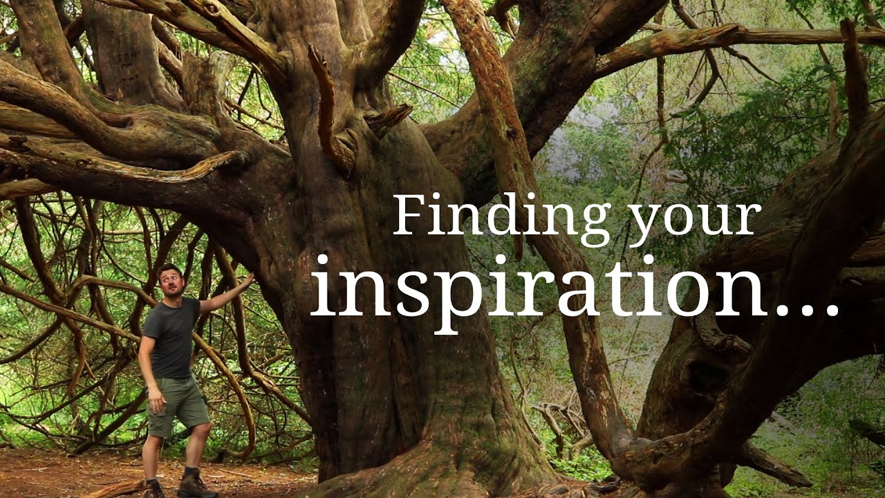 Get Inspired by Nature | How to Find Your Creativity?