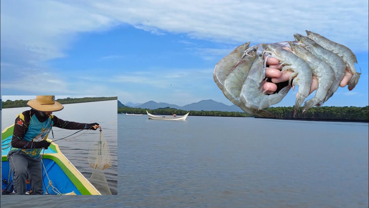 pescando camarão branco aqui no litoral do Paraná