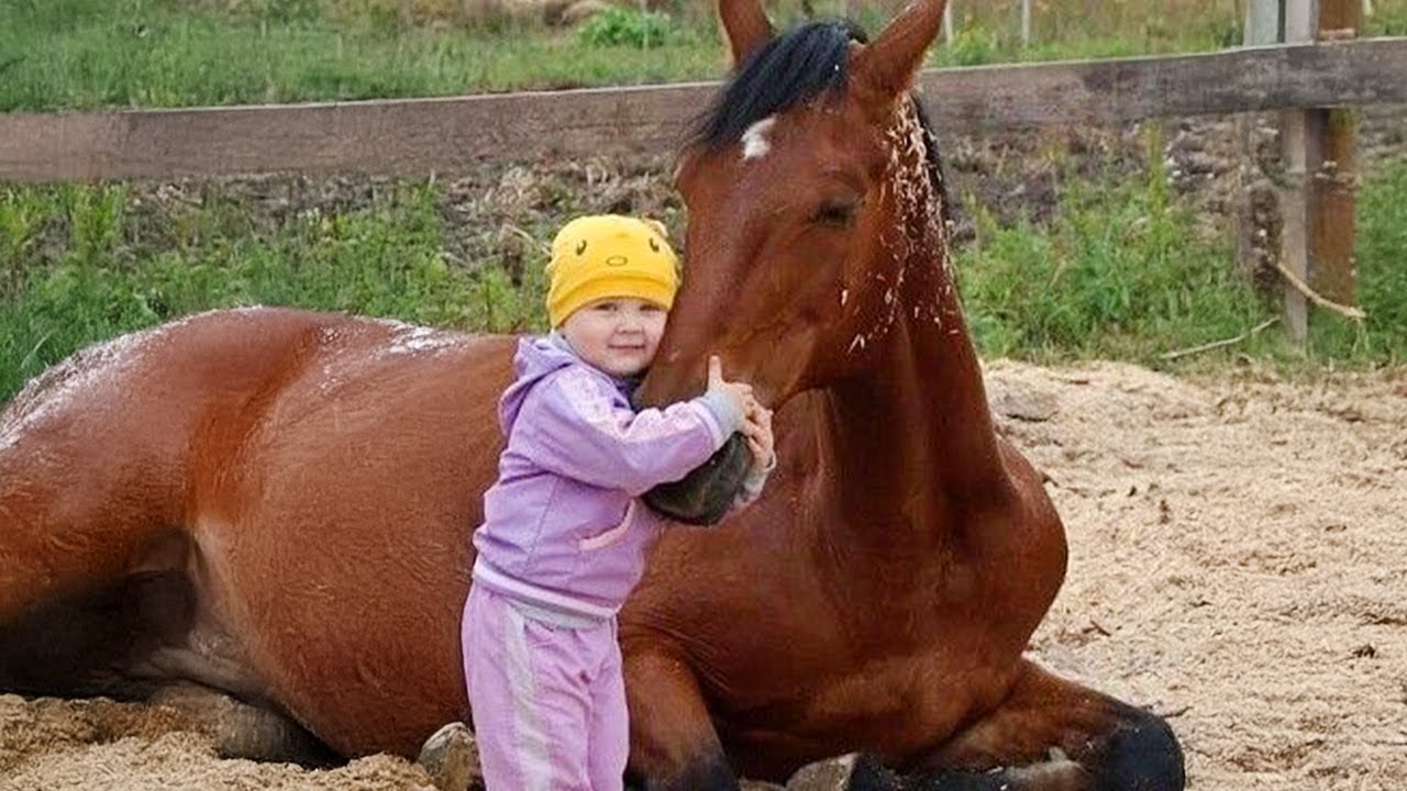 When Your Baby Builds the Sweetest Trust With a Horse ❤️