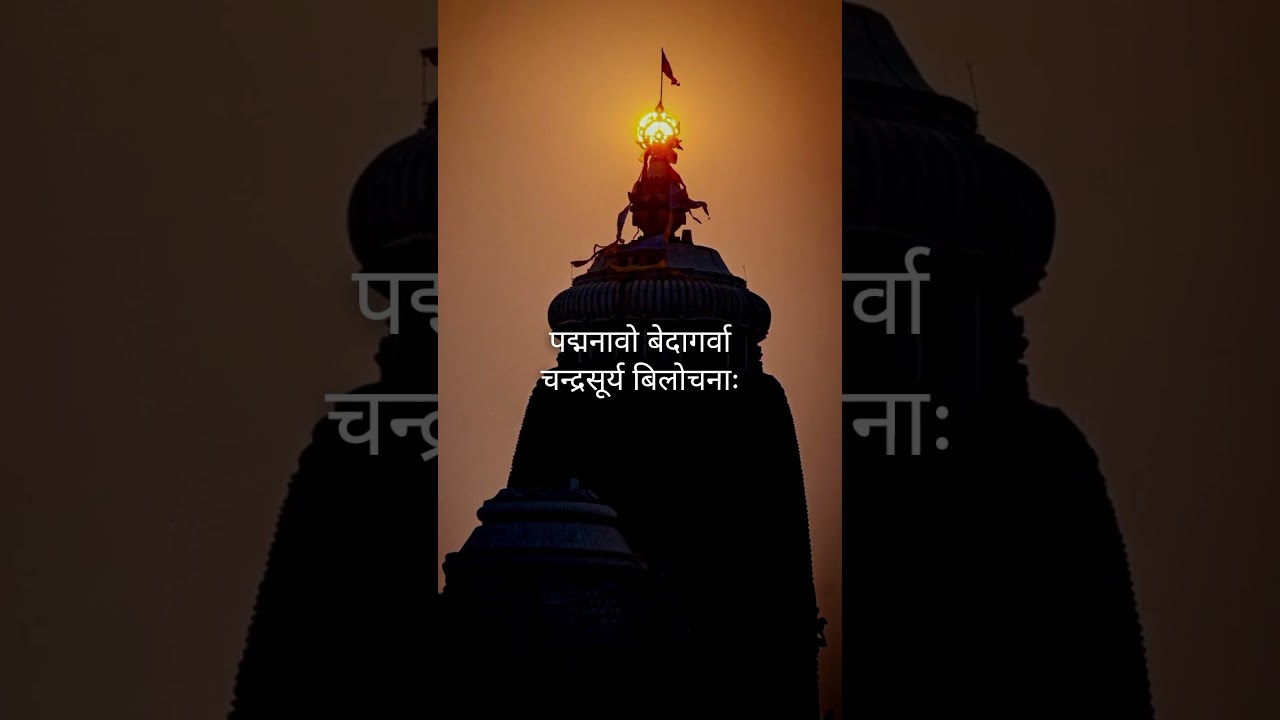 Chaturbhuja Jagannatha | Jagannath Aarti | Jagannath Shloka | #sanatandharma #jagannath