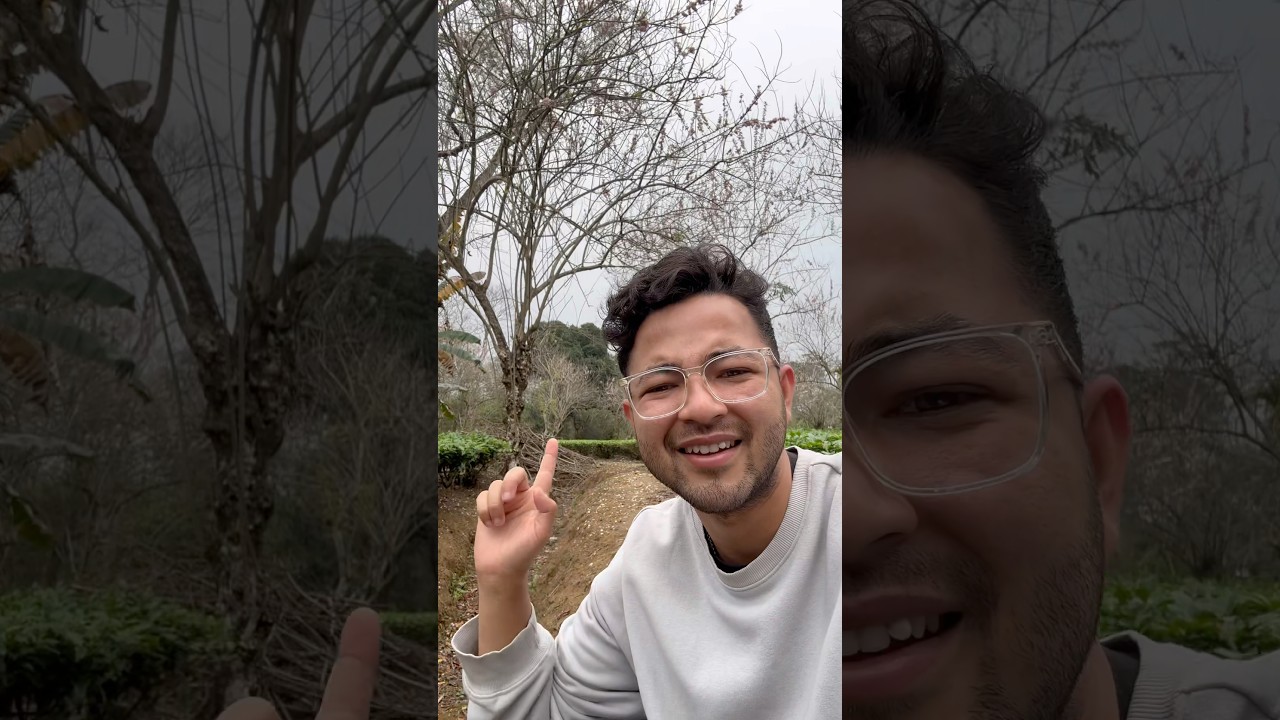 Тайное цветение сакуры в Ассаме 🌸😍 #dailyvlog #assamesevlogs #garden #nature #villagelife #minivlog
