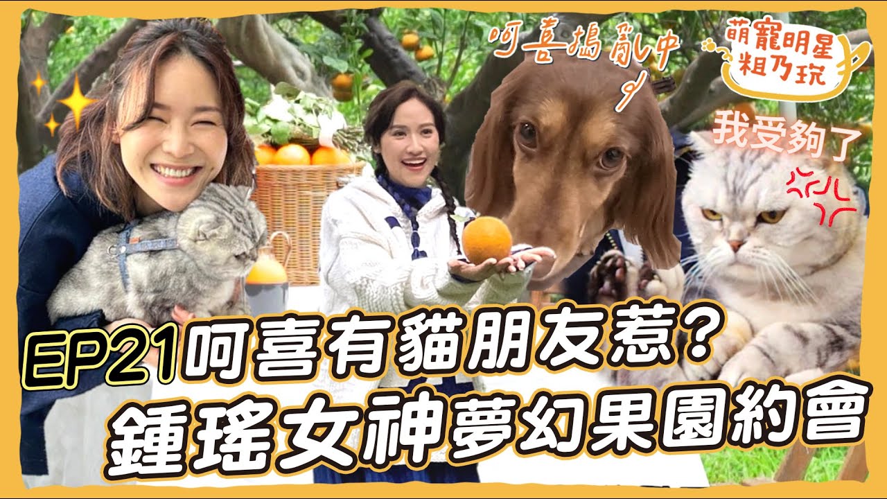 [SUB]EP21 呵喜交到貓朋友了？ 鍾瑤也是中途愛媽？超夢幻 寵物友善果園 跟女神一起採橘子！【 萌寵明星粗乃玩 】 Sandy 吳姍儒 @haveapetday