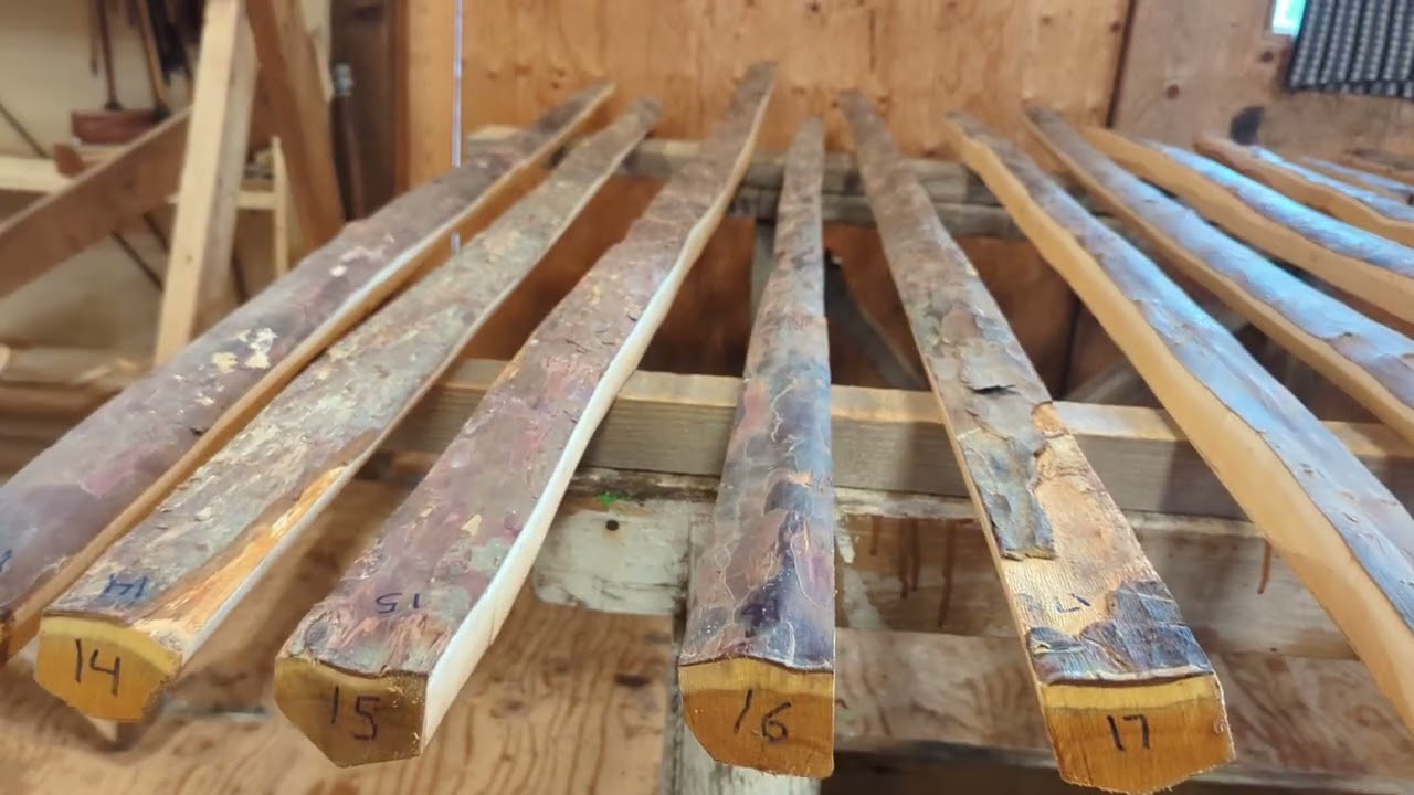 Yew Longbow Staves #2