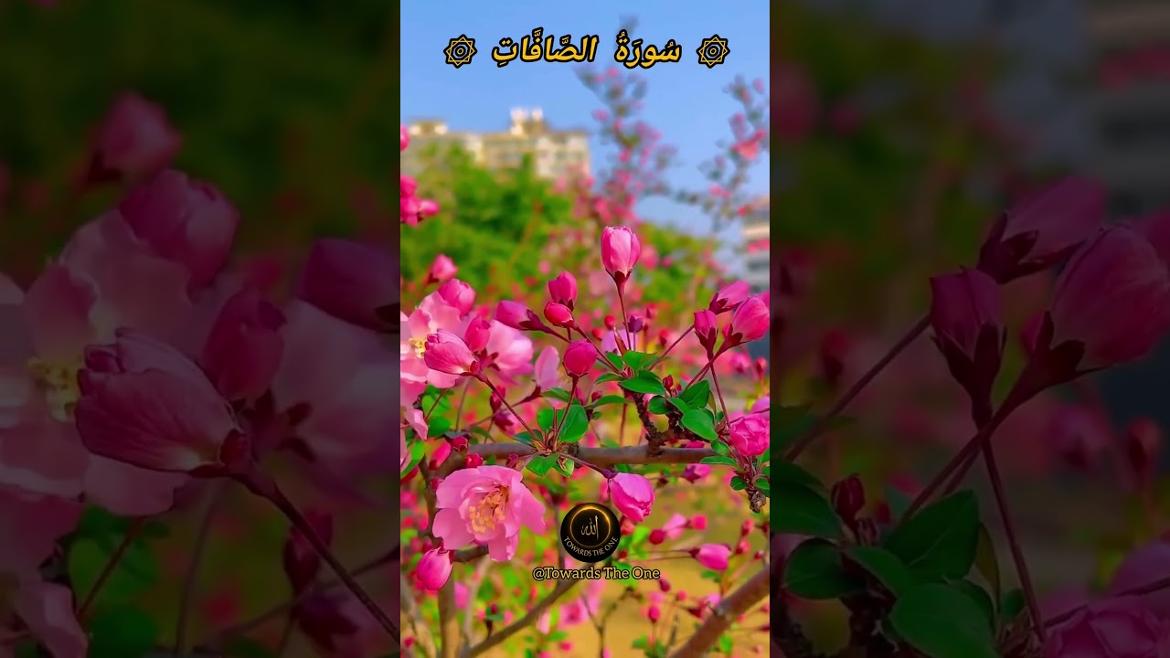 AS-SAFFAT ❤️ Mesmerising voice| Egzon Ibrahimi 