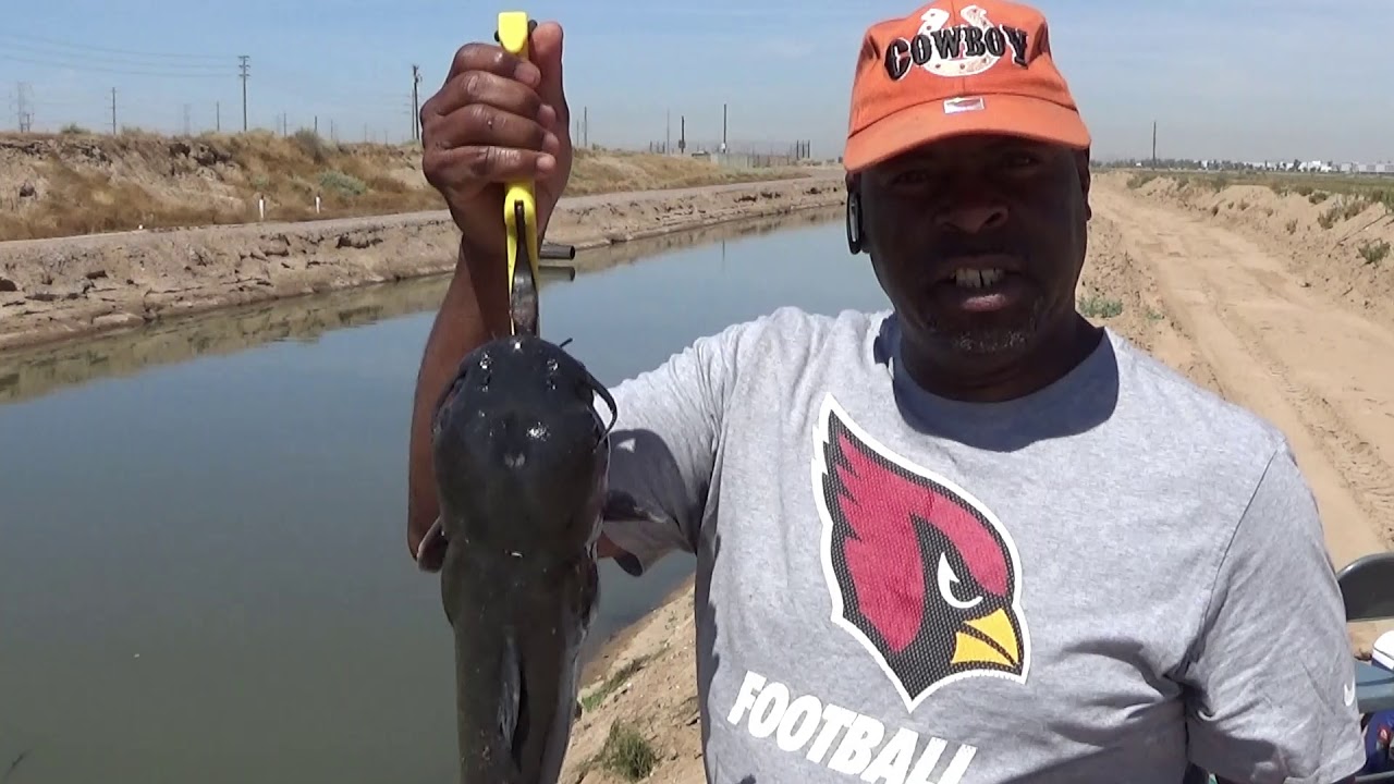 Arizona canal fishing