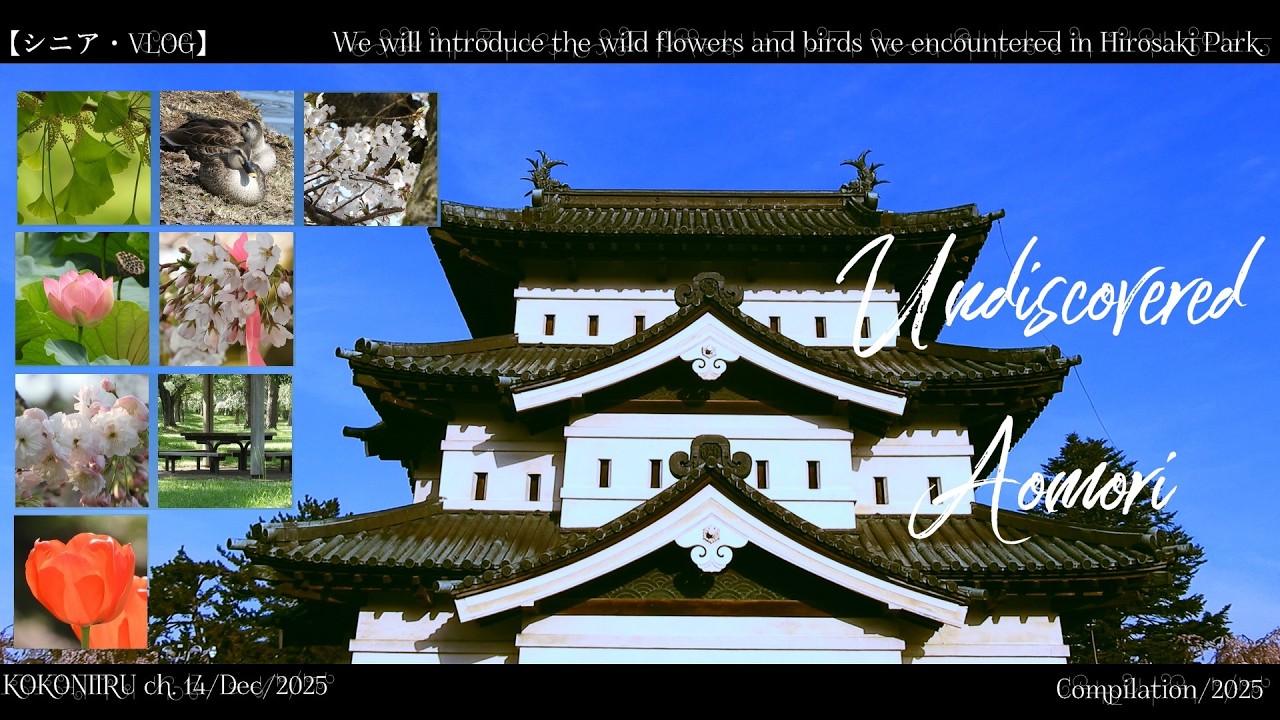 弘前公園で見つける四季の自然🌸 野鳥と山野草の癒やしVLOG【青森・総集編/2025】