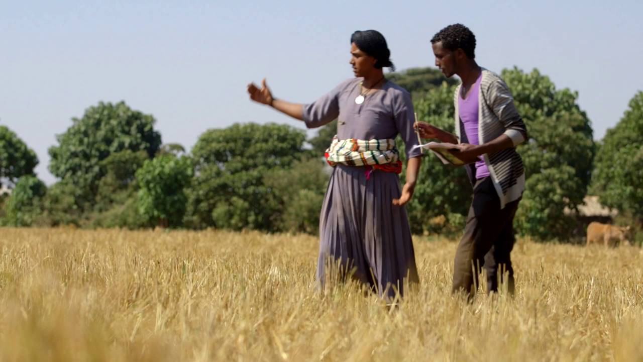 Digital Green in Ethiopia
