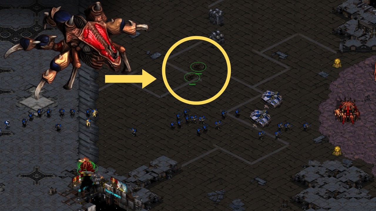 LURKER TRAP!!!