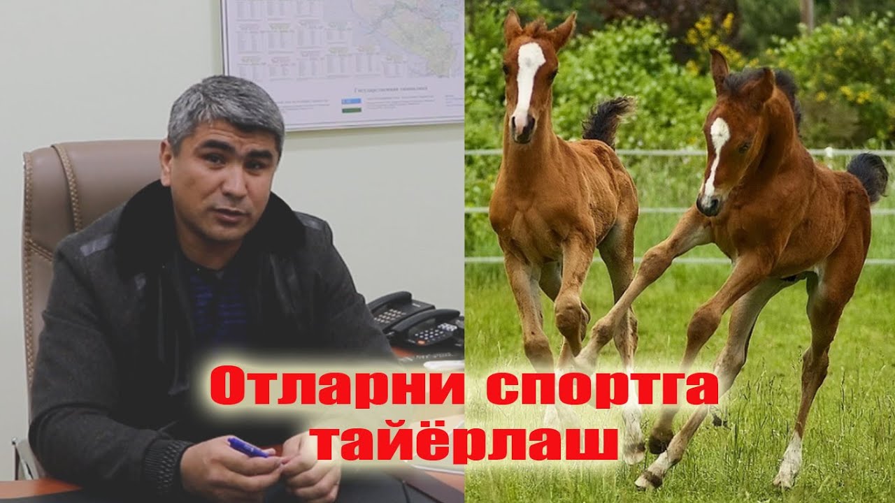 Жахонгир хожи аканинг тавсияси