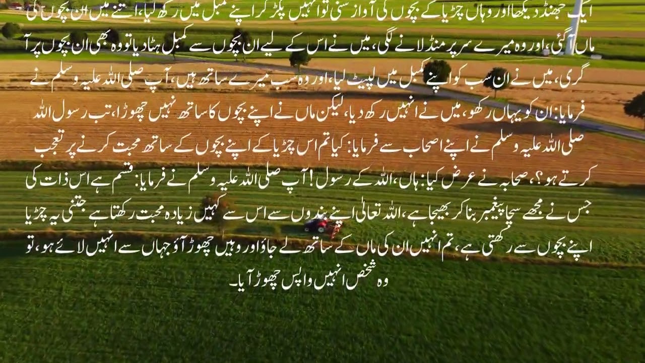Quran & Hadees translation#hadith