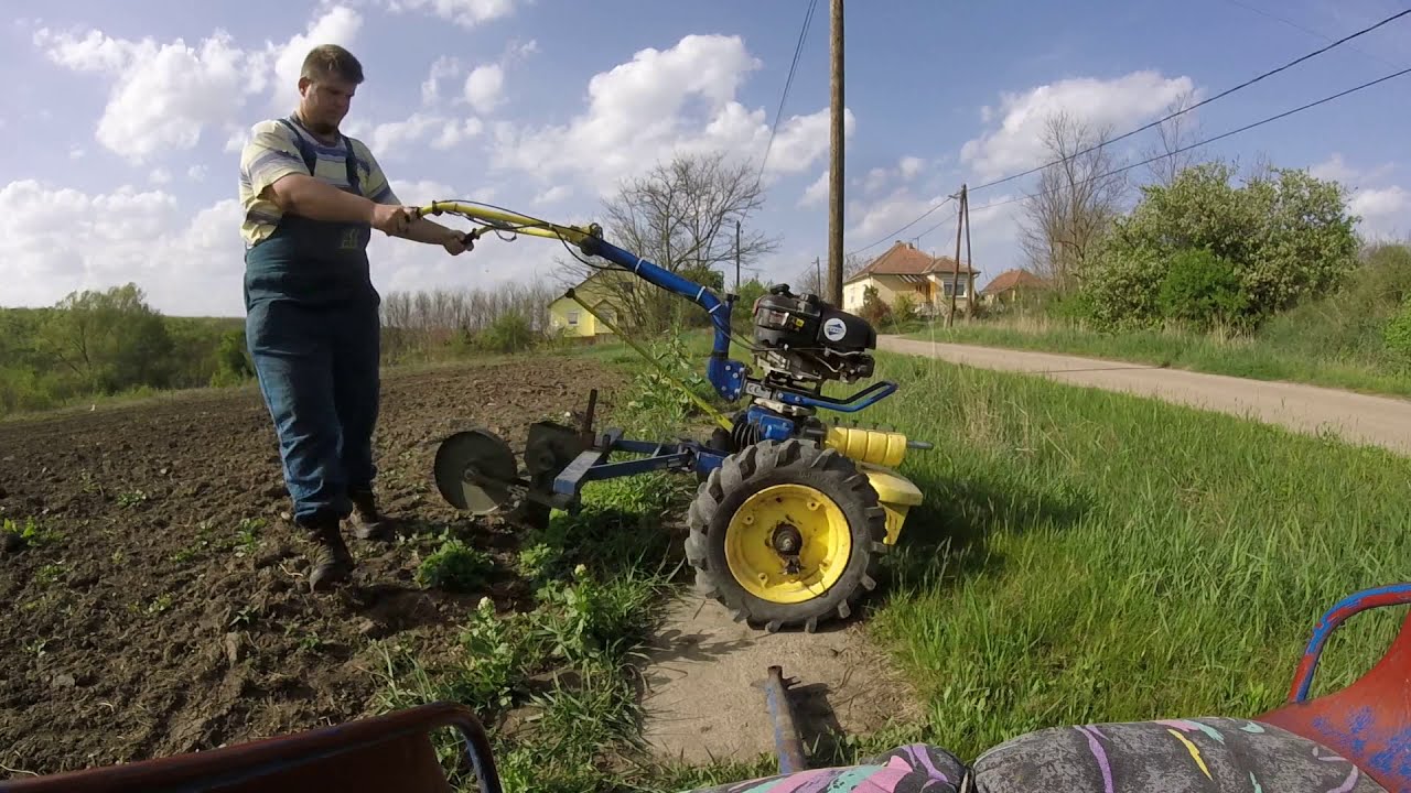Kukorica vetés AGZAT-tal (vetés javítás)