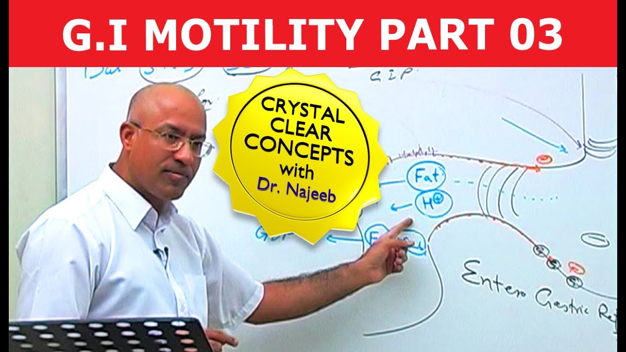 G I Motility | Gastrointestinal | Part 3