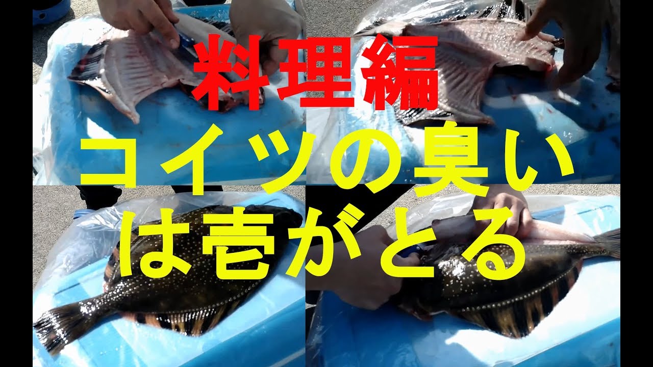 前回のカワガレイの臭いをとって食す！