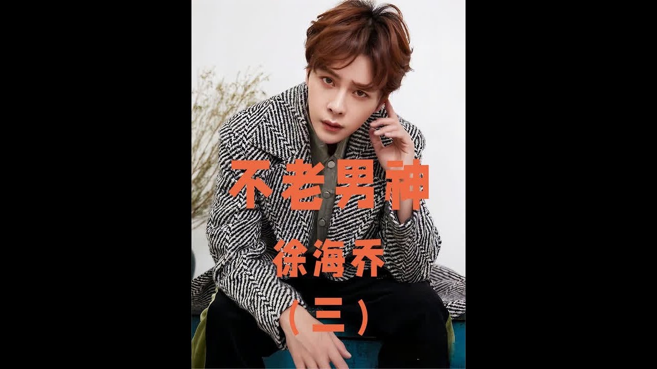 出道多年却一直不温不火的徐海乔，终于迎来事业的第二春#徐海乔 #花千骨 #热血长安 #梦华录#人物故事