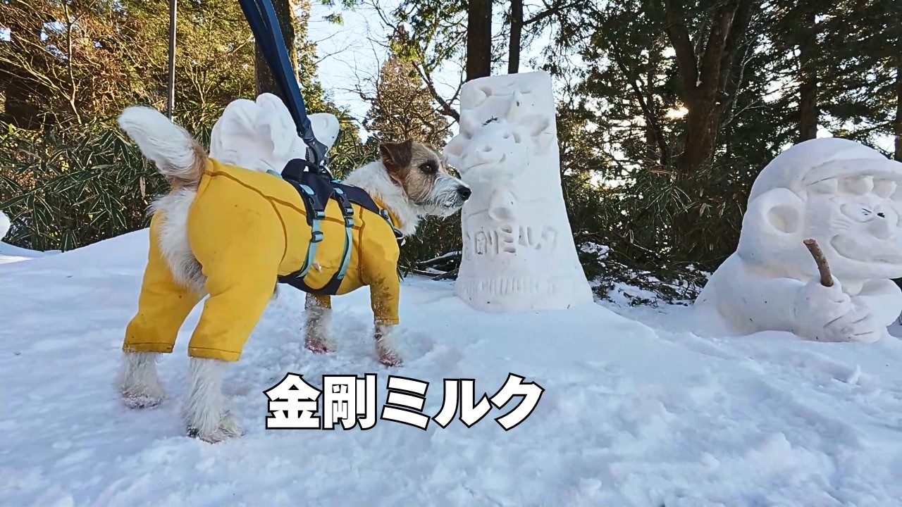 雪まつりのような雪像を見て一気に下山しました【金剛山馬の背ルート下り】
