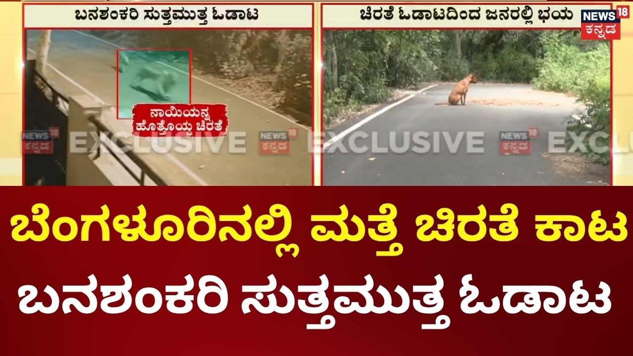 Leopard Spotted in Banashankari | ಬನಶಂಕರಿಯ ಕರಿಯನಪಾಳ್ಯ ಸುತ್ತಮುತ್ತ ಆತಂಕ |Leopard Spotted in Bengaluru