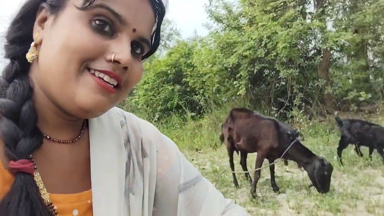 मैं झाड़ी में आकर के 😭😭😭फंस गए प्लीज़ बचा लो आप लोग #poojacutevlog 