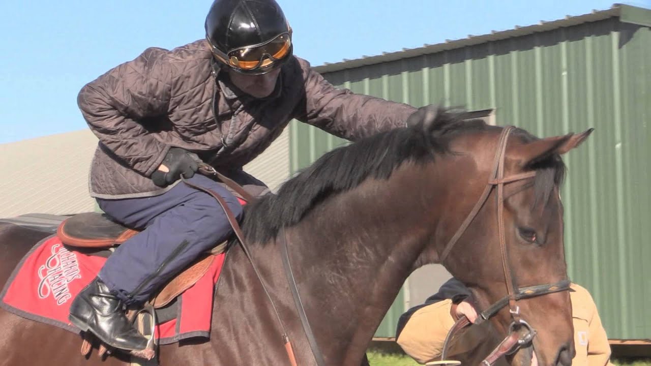 American Dubai and Calvin Borel