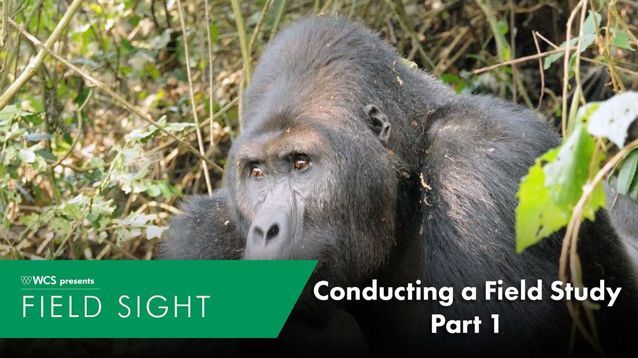 Conducting a Field Study part 1