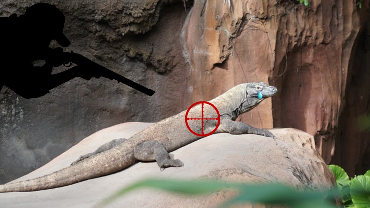 cuales son los depredadores de los Dragones de komodo