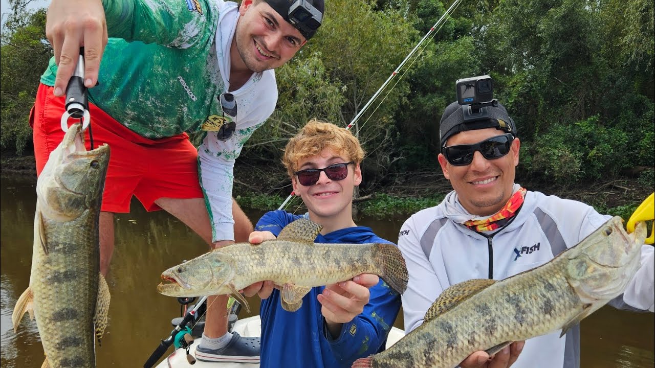 LA MEJOR PESCA DE TARARIRAS DE MI VIDA