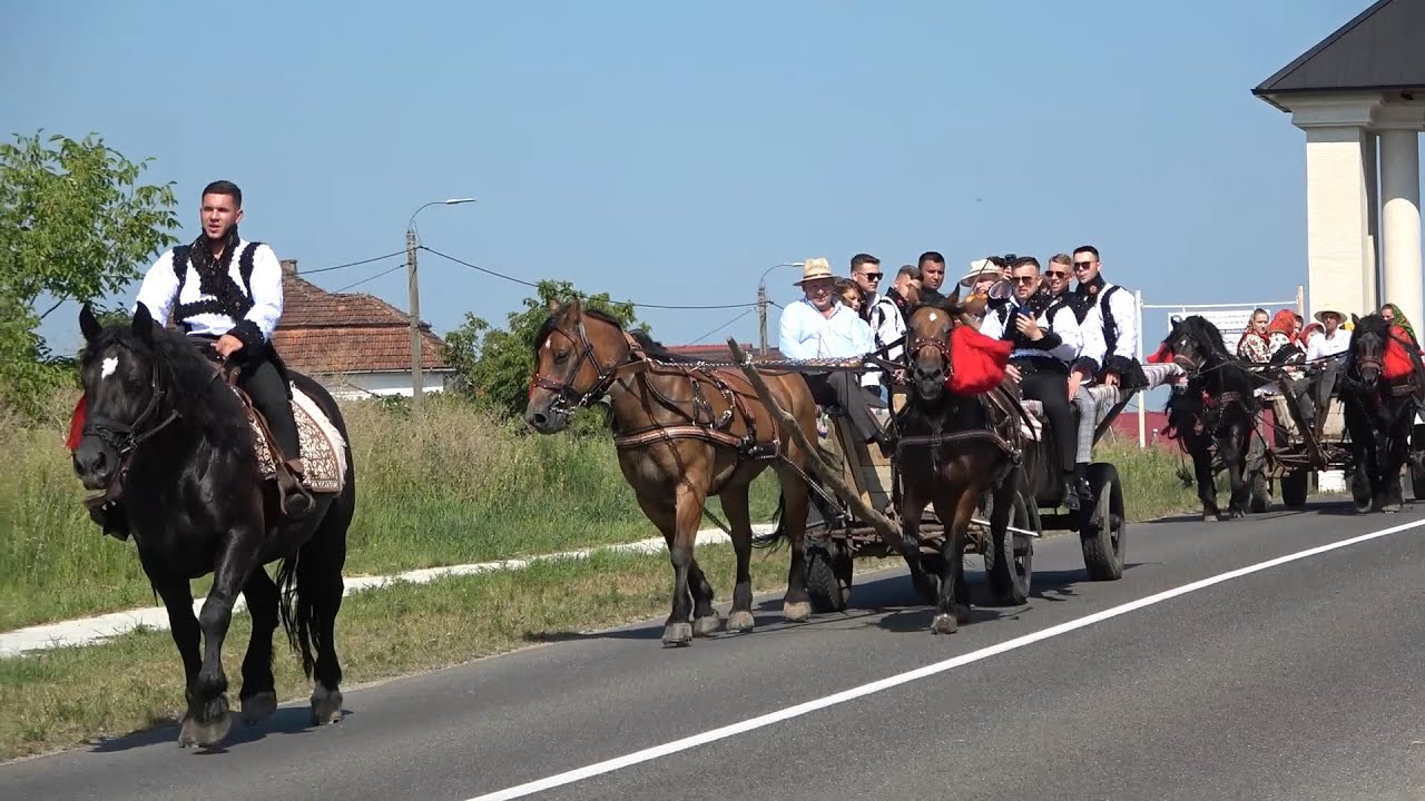 Cinstea miresei in Tara Oasului - Ionut si Diana - 2021 Nou!!!