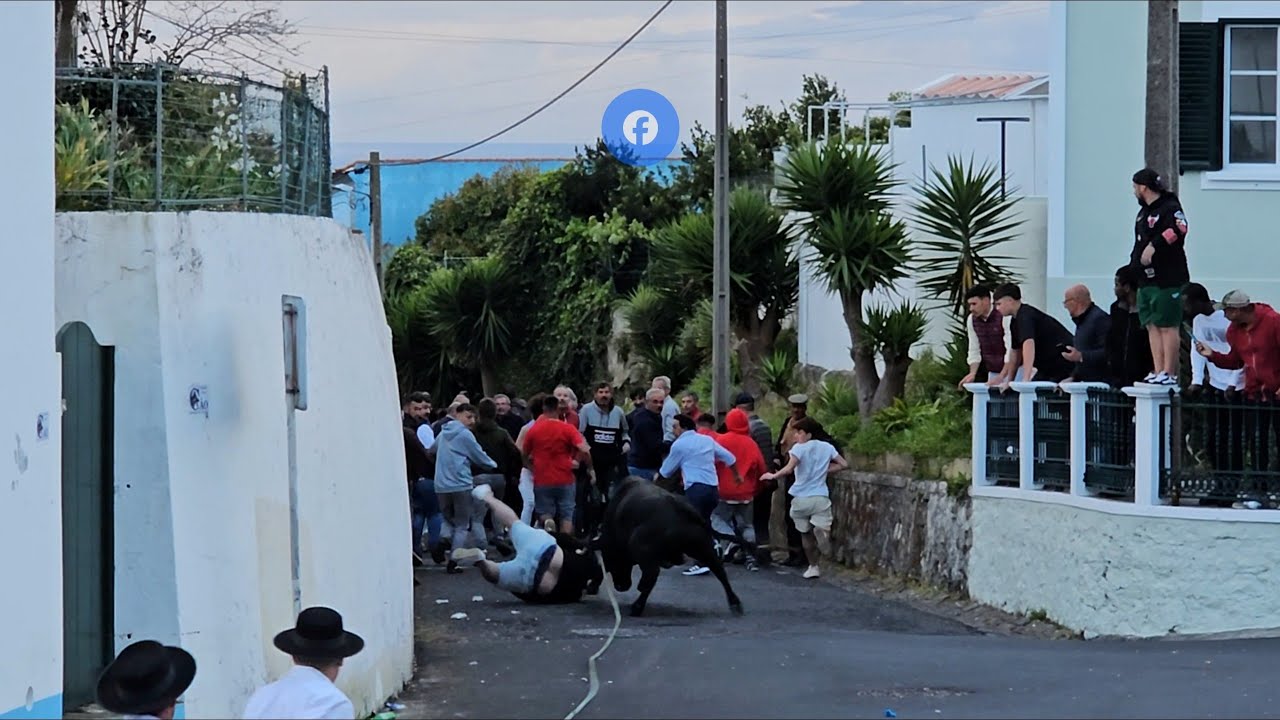 Ilha Terceira Açores, 05-05-25 Tourada à Corda São João de Deus B.R.
